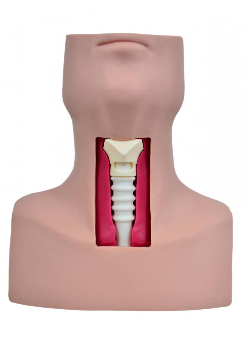 SIMULADOR DE TRAQUEOSTOMIA